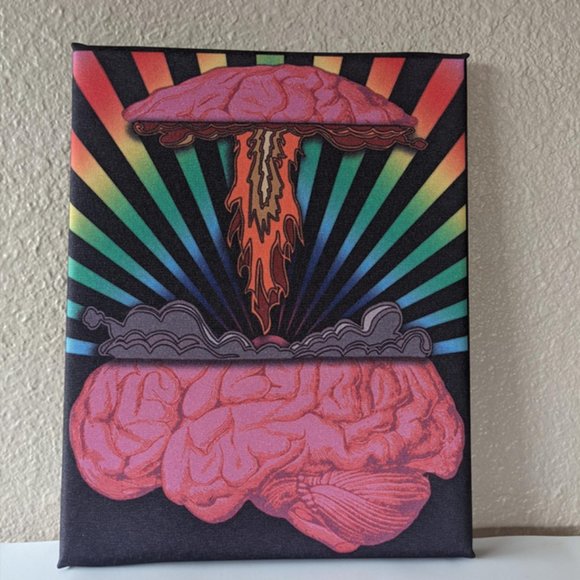 Trippy Brain Blast 8x10 Canvas - Picture 1 of 1